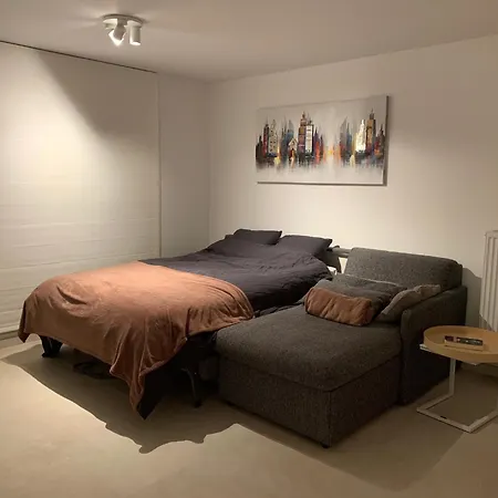 Le Roulis Appartement La Panne